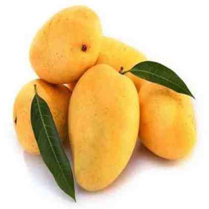 Ammropali mango